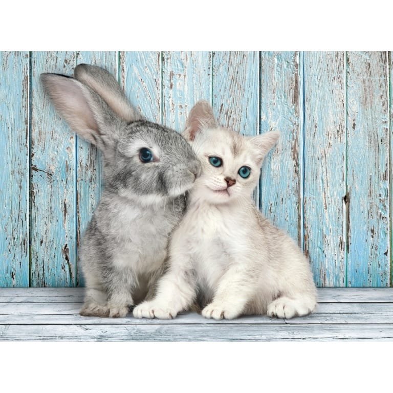 Clementoni dėlionė “Cat & Banny” 500pcs