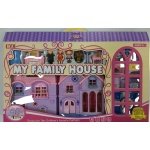 Lėlių namas su priedais