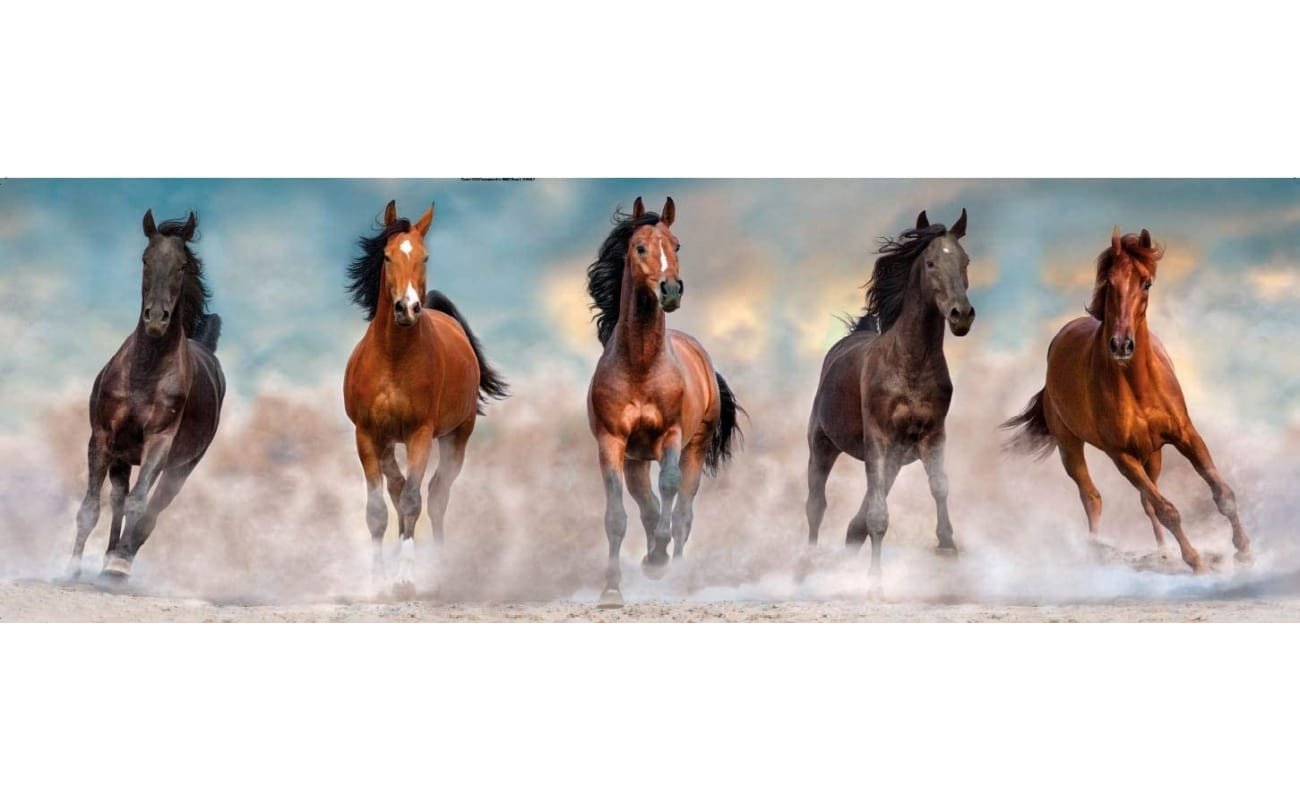Clementoni dėlionė “Panorama Horses” 1000pcs