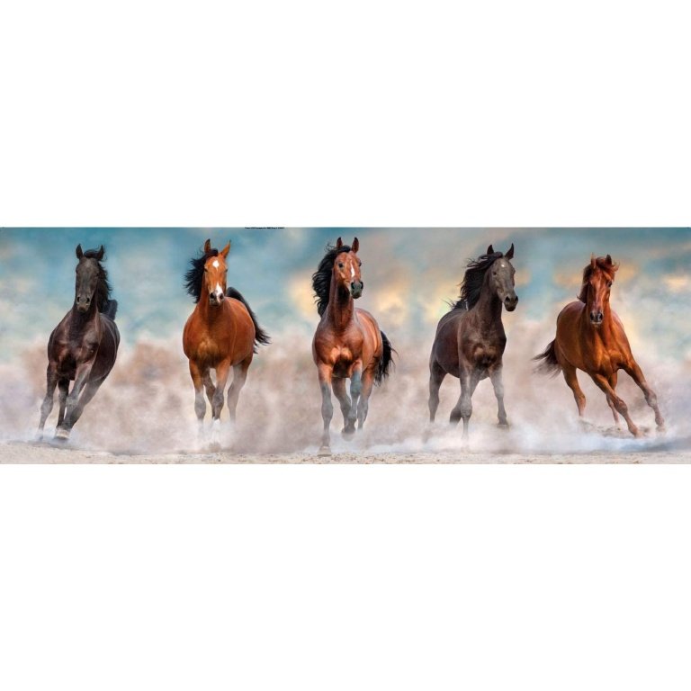 Clementoni dėlionė “Panorama Horses” 1000pcs