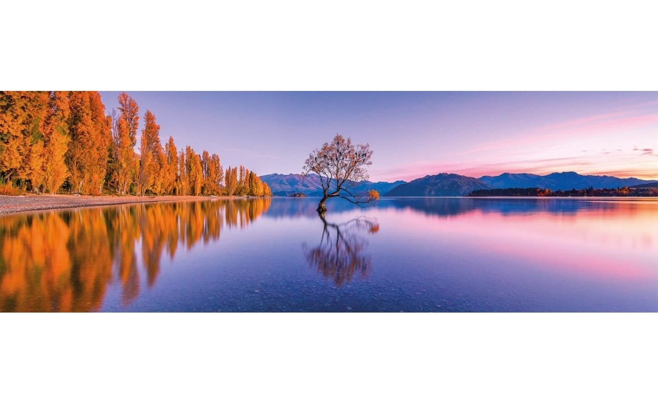 Clementoni dėlionė “Lake Wanaka Tree” 1000pcs