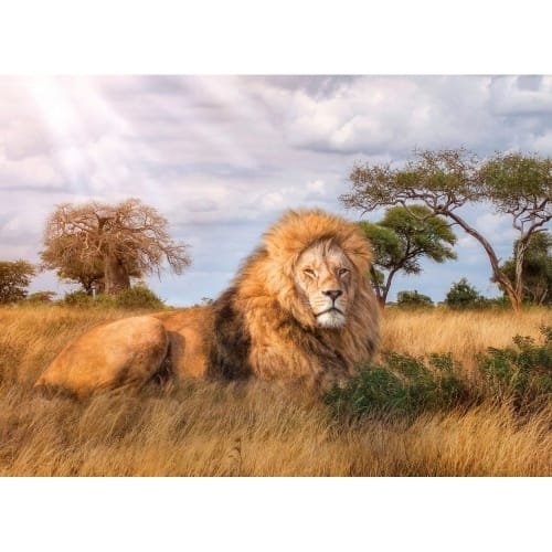 Clementoni dėlionė “The King” 1000pcs