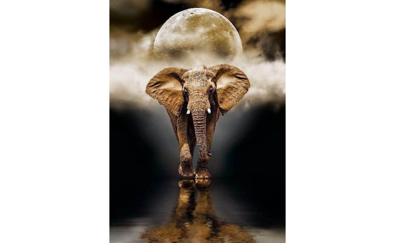 Clementoni dėlionė “The Elephant” 1000pcs