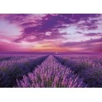 Clementoni dėlionė “Lavander Field” 1000pcs