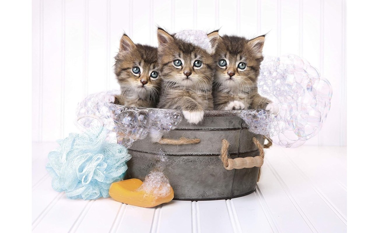 Clementoni dėlionė “Kittens & Soap” 500pcs