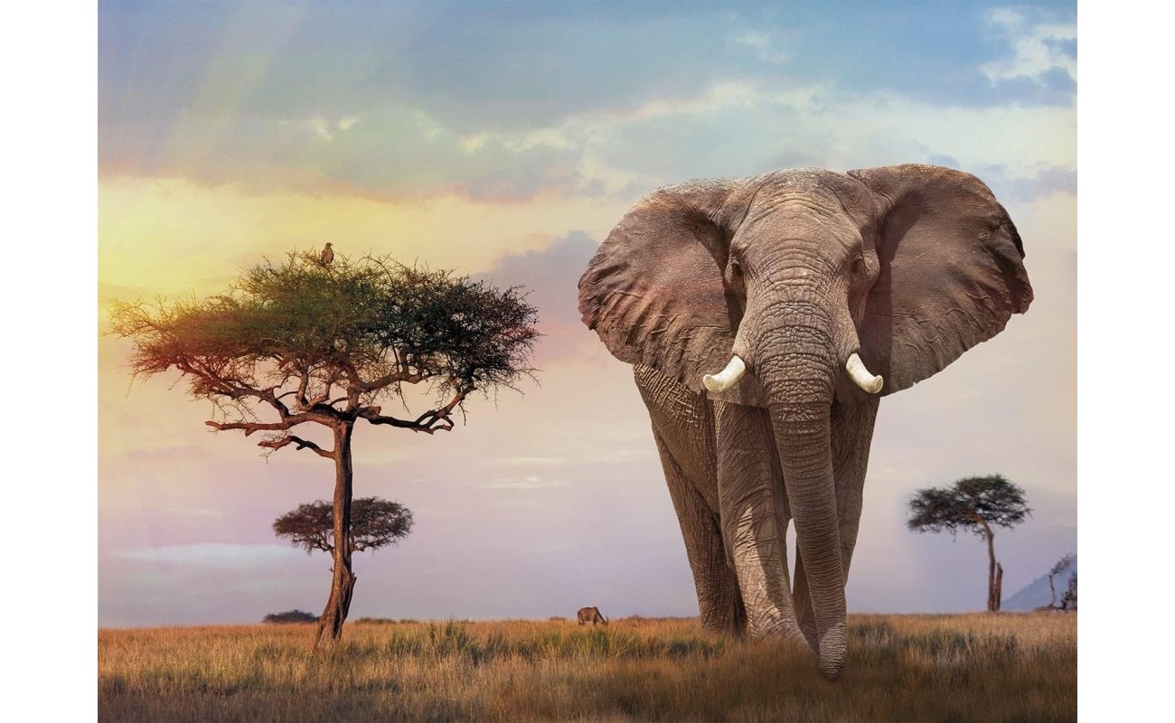 Clementoni dėlionė “African Sunset” 500pcs