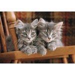 Clementoni dėlionė „Kittens“ 500 detalių - Image 4