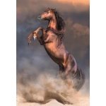 Clementoni dėlionė „Wild Red Stallion“ 500 detalių - Image 2
